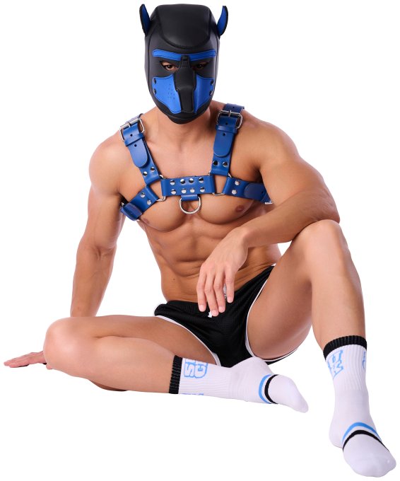 Chaussettes Suck University SneakXX