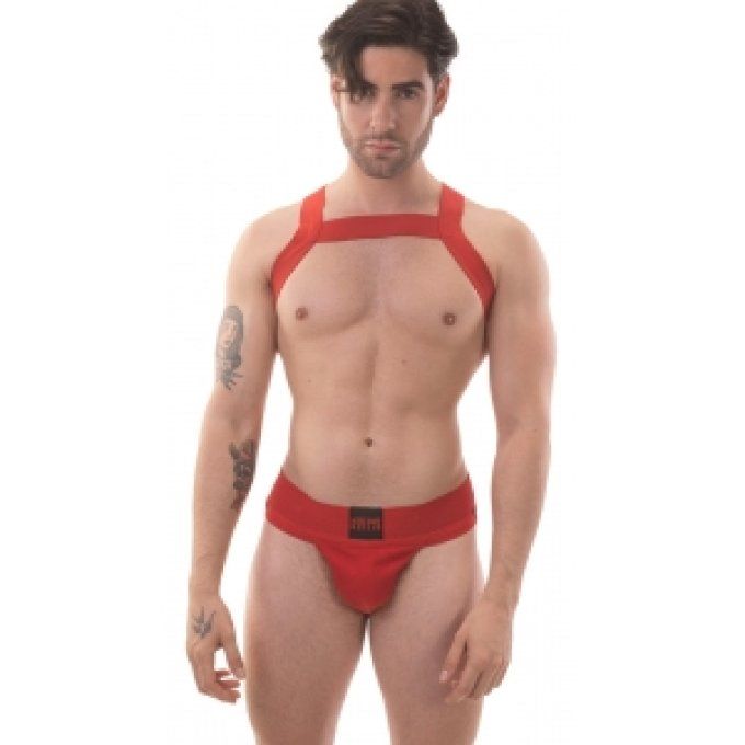 Harnais élastique Matt