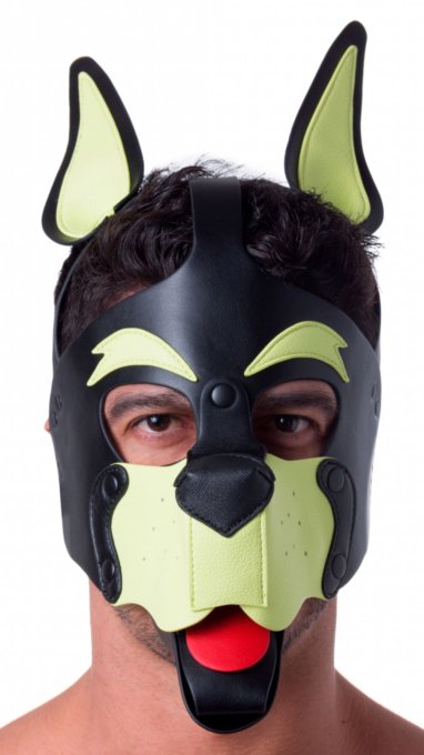 Masque Puppy 665 Jaune/Vert
